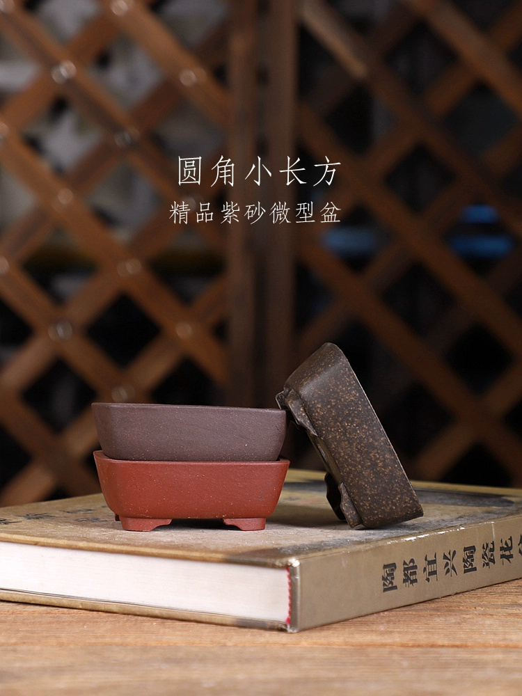 Bonsai Garden With Sand - Purple Sand Round Angle Rectangle Bonsai