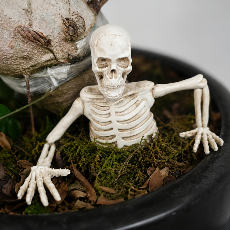 Bonsai Garden Landscape Design - Half-body Climbing Out of the Skeleton