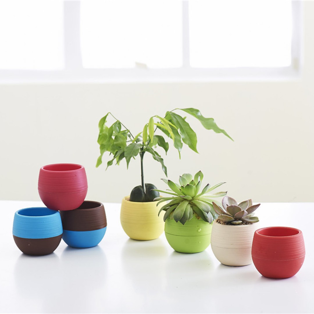 Bonsai Garden Europe - Gardening Mini Plastic Flower Pots Nursery