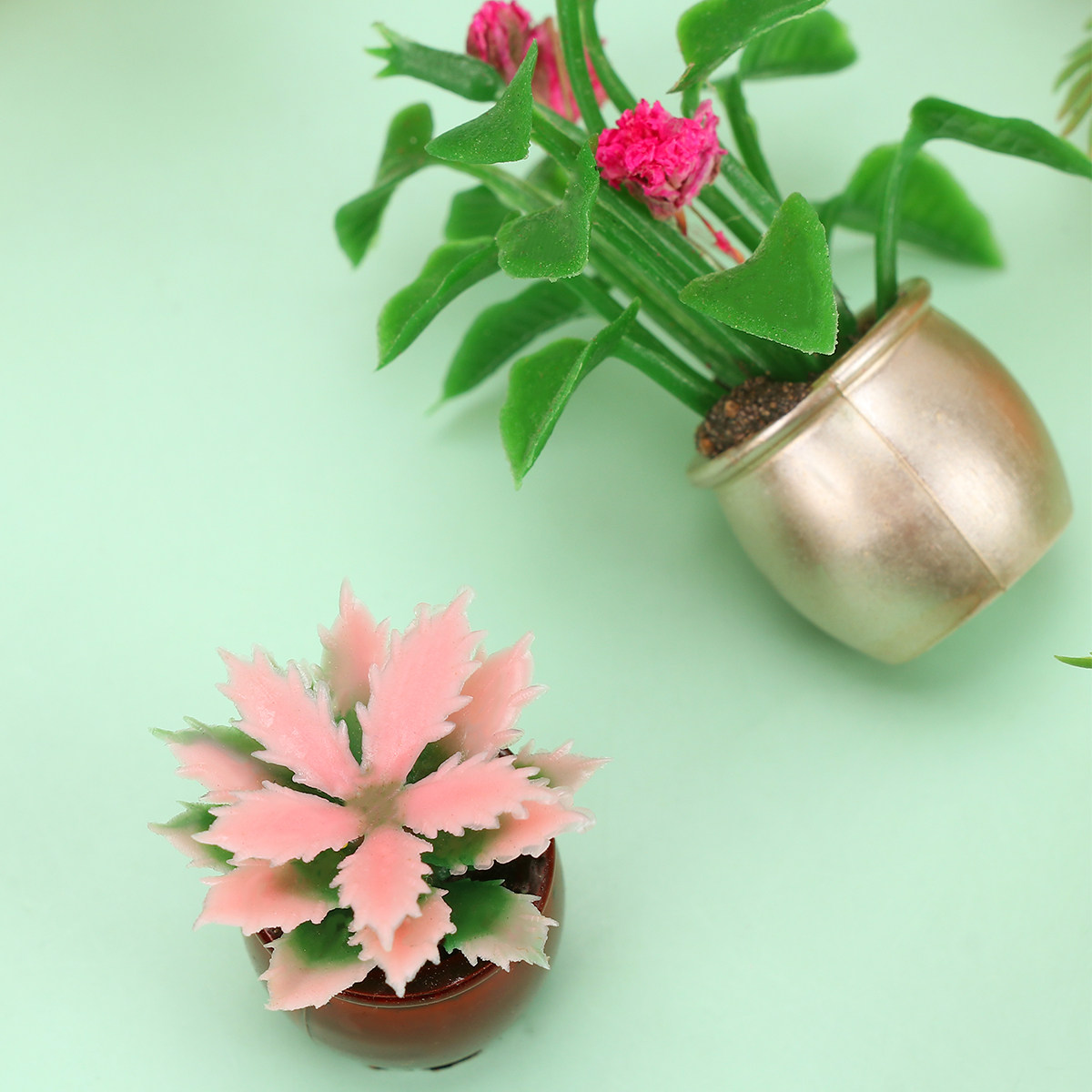 10Pcs Mini Plastic Potted Colo - Bonsai Garden Europe review and price