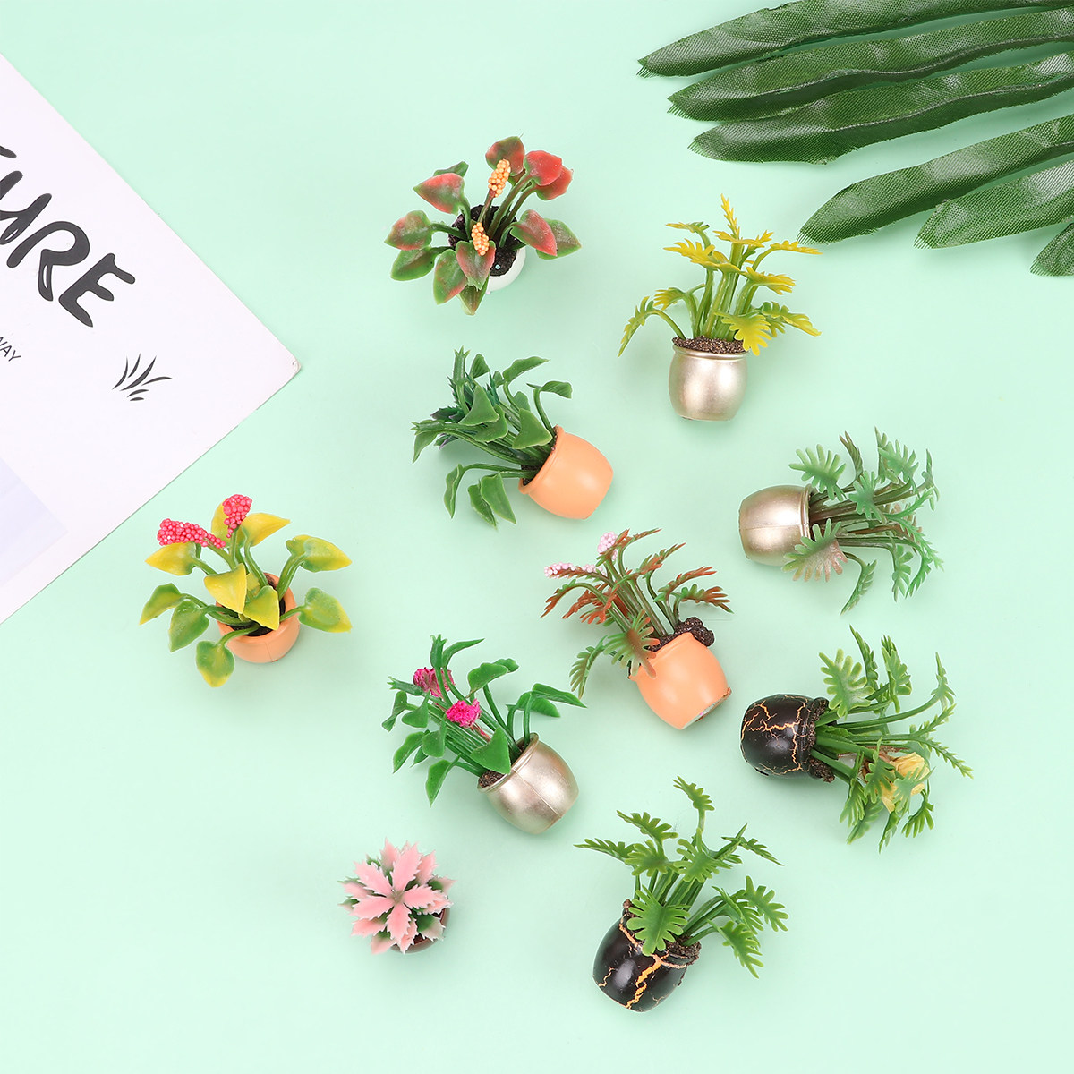 10Pcs Mini Plastic Potted Colo - Bonsai Garden Europe review and price