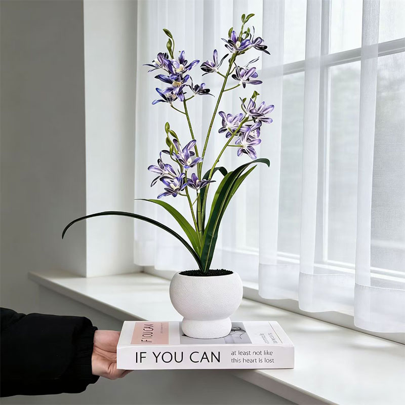 New Jumping Orchid Black Sand  - Bonsai Garden With Sand review and price