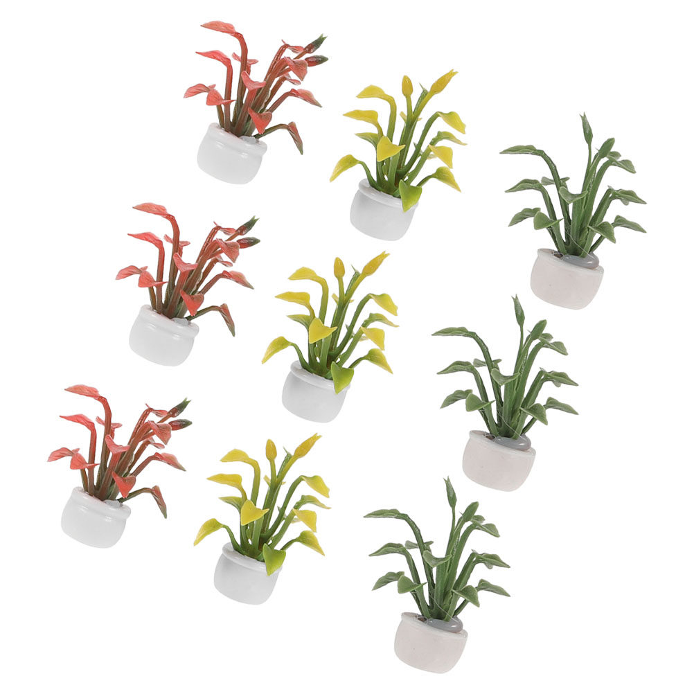 9Pcs Miniature Potted Plant Re - Bonsai Garden With Sand review and price